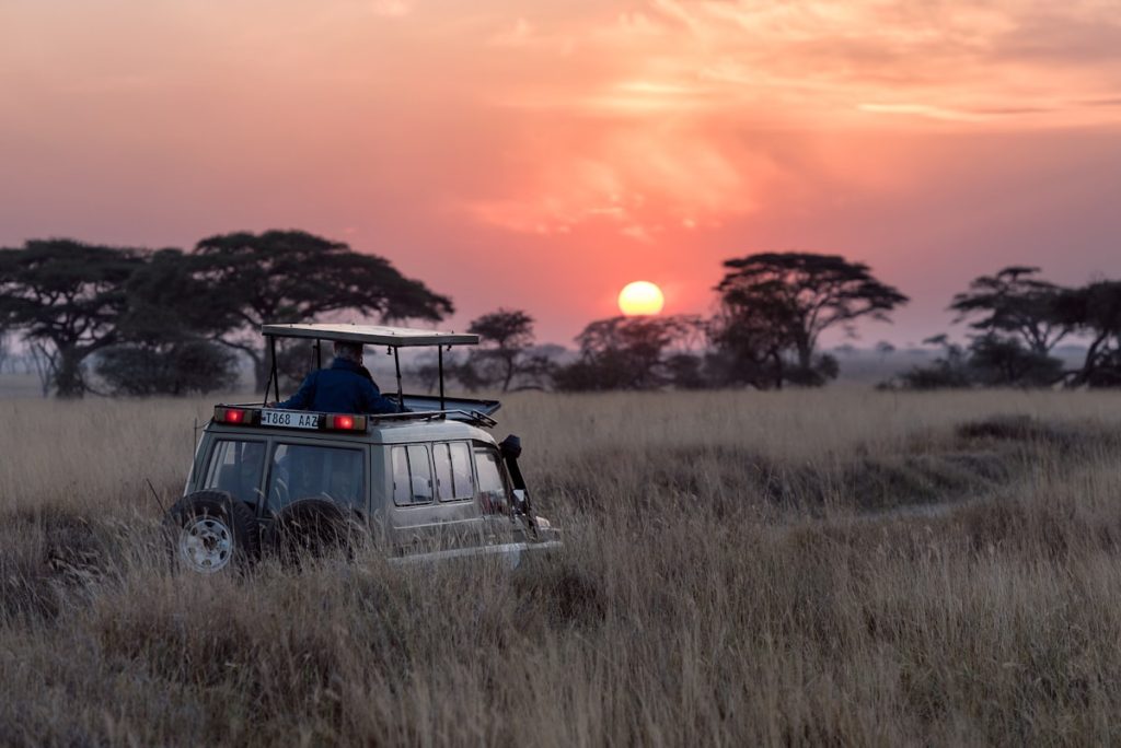 Rwanda Safari Cost Breakdown – Budget to Luxury