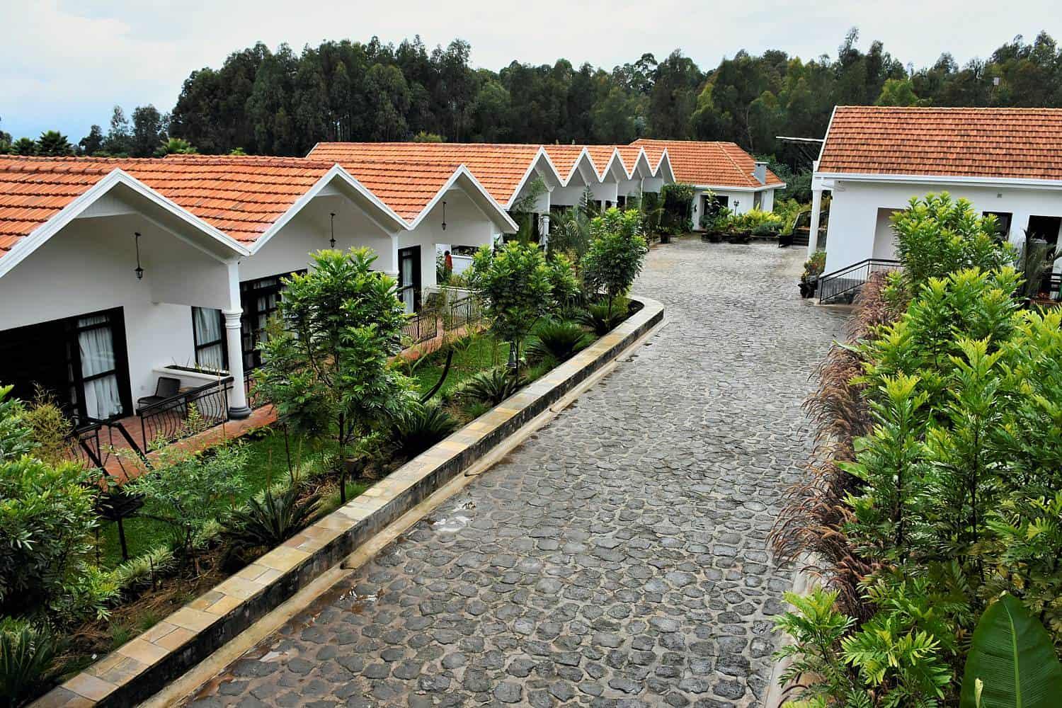 Volcanoes National Park Accommodation Guide – Luxury to Budget Lodges