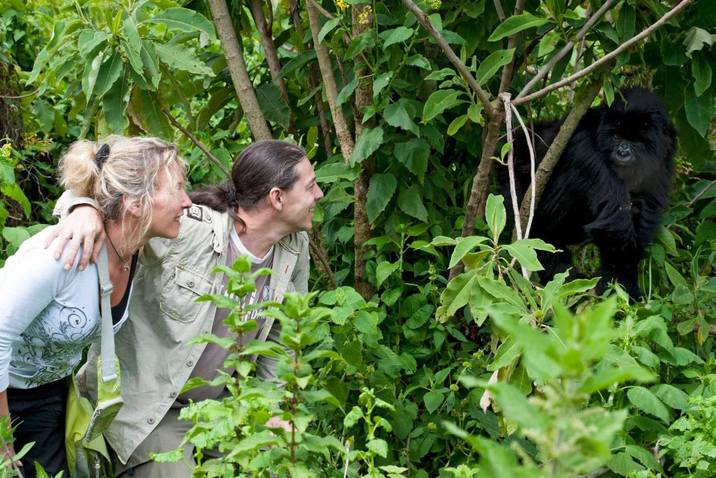 Volcanoes National Park Gorilla Trekking Guide – Permits, Cost & Tips