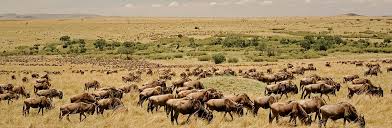 Uganda Travel Guide 2026