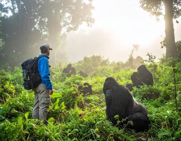Uganda Visa Guide for Tourists 