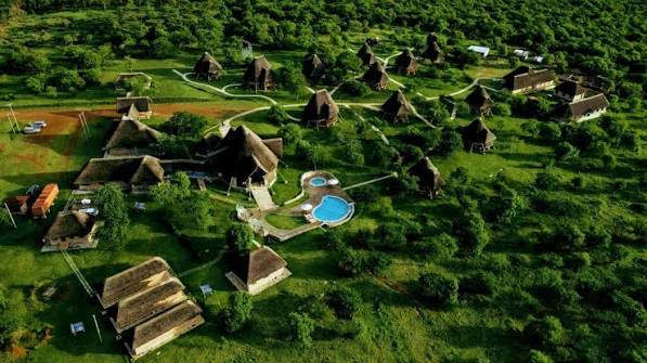 Uganda Safari vs Kenya Safari
