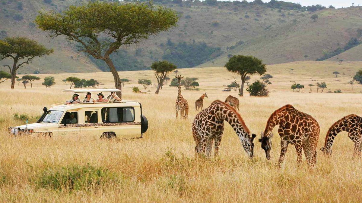 Amboseli National Park Safari Guide