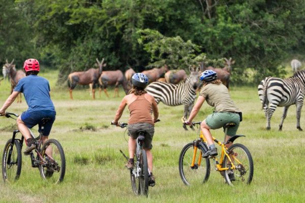 Activities-in-Lake-Mburo-National-Park safaris in uganda from Rwanda