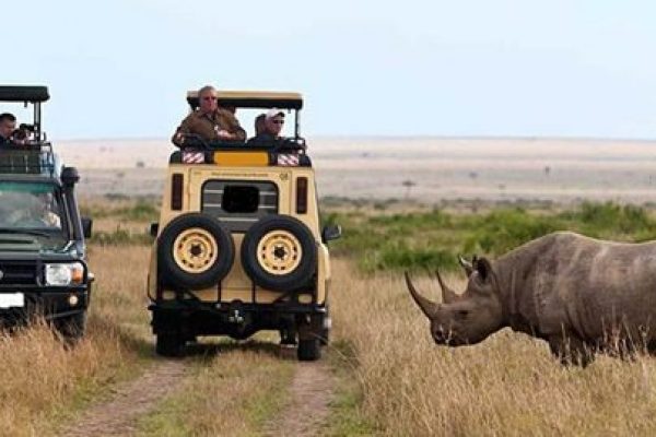 best East Africa Safaris Destinations, rwanda safari