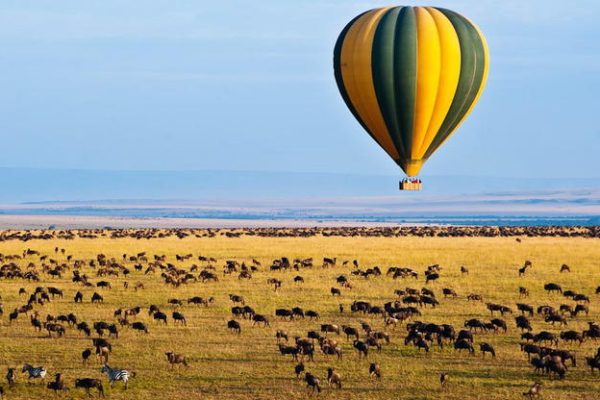 the great migration, the great migration in tanzania, the great migration in kenya, great migration in maasai mara, great migration in serengeti, the great migration tanzania, the great migration kenya, 1 Day Classic Balloon Safari in Serengeti & Tarangire with Breakfast, 6 Days Ultimate Kenyan Safari