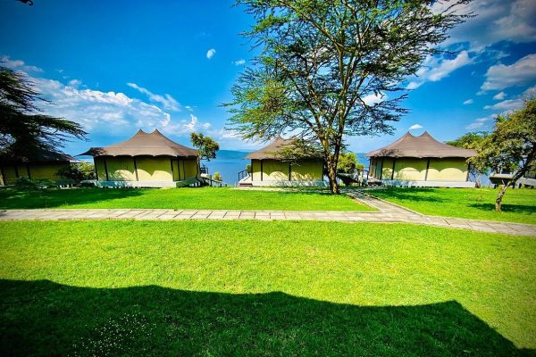 lake nakuru national park, lake nakuru, lake nakuru accommodations, accommodations near lake nakuru, activities near lake nakuru, lake nakuru national park attractions, Best Tour Operator in East Africa